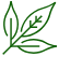We are World-Leading Provider of Organic Products