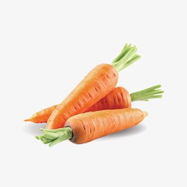 Carrot