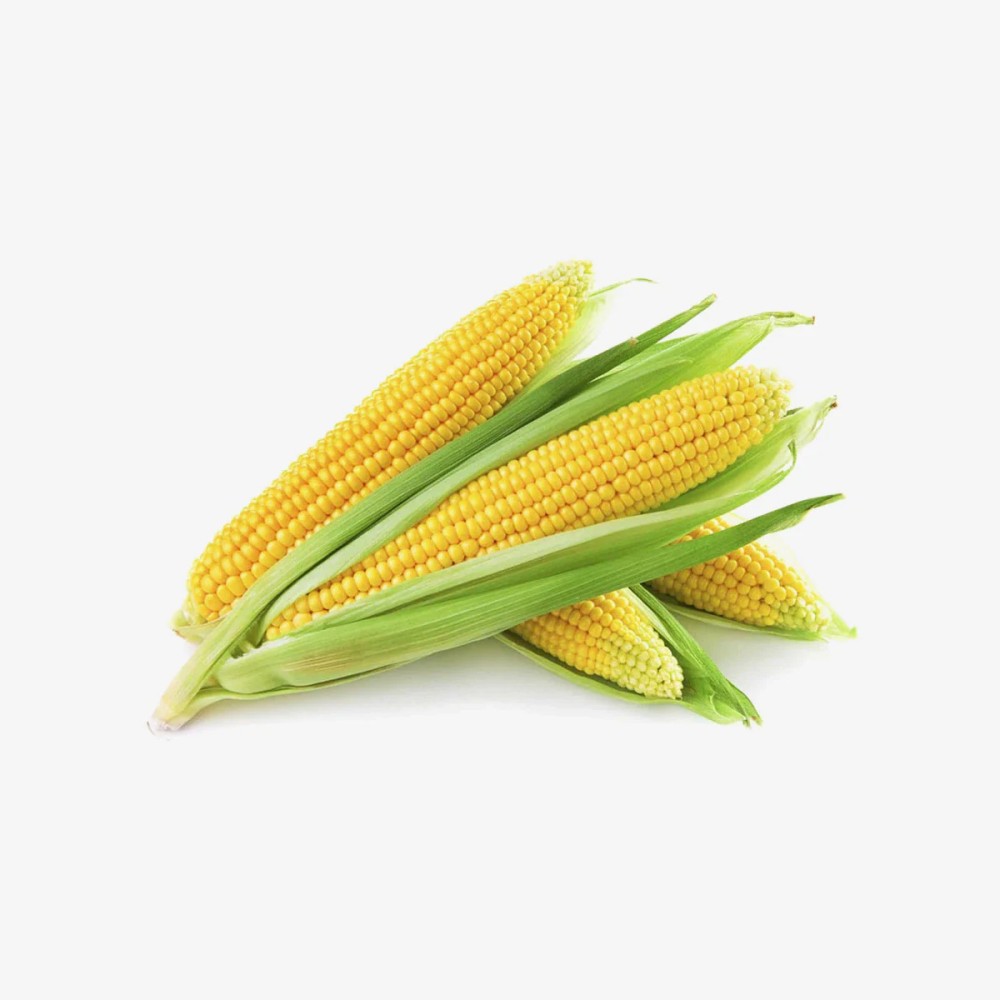 Corn