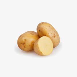 Potato