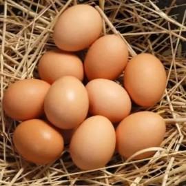 Farm Fresh Eggs 6Pcs